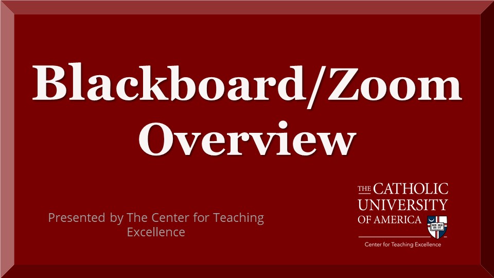blackboard and zoom overview button
