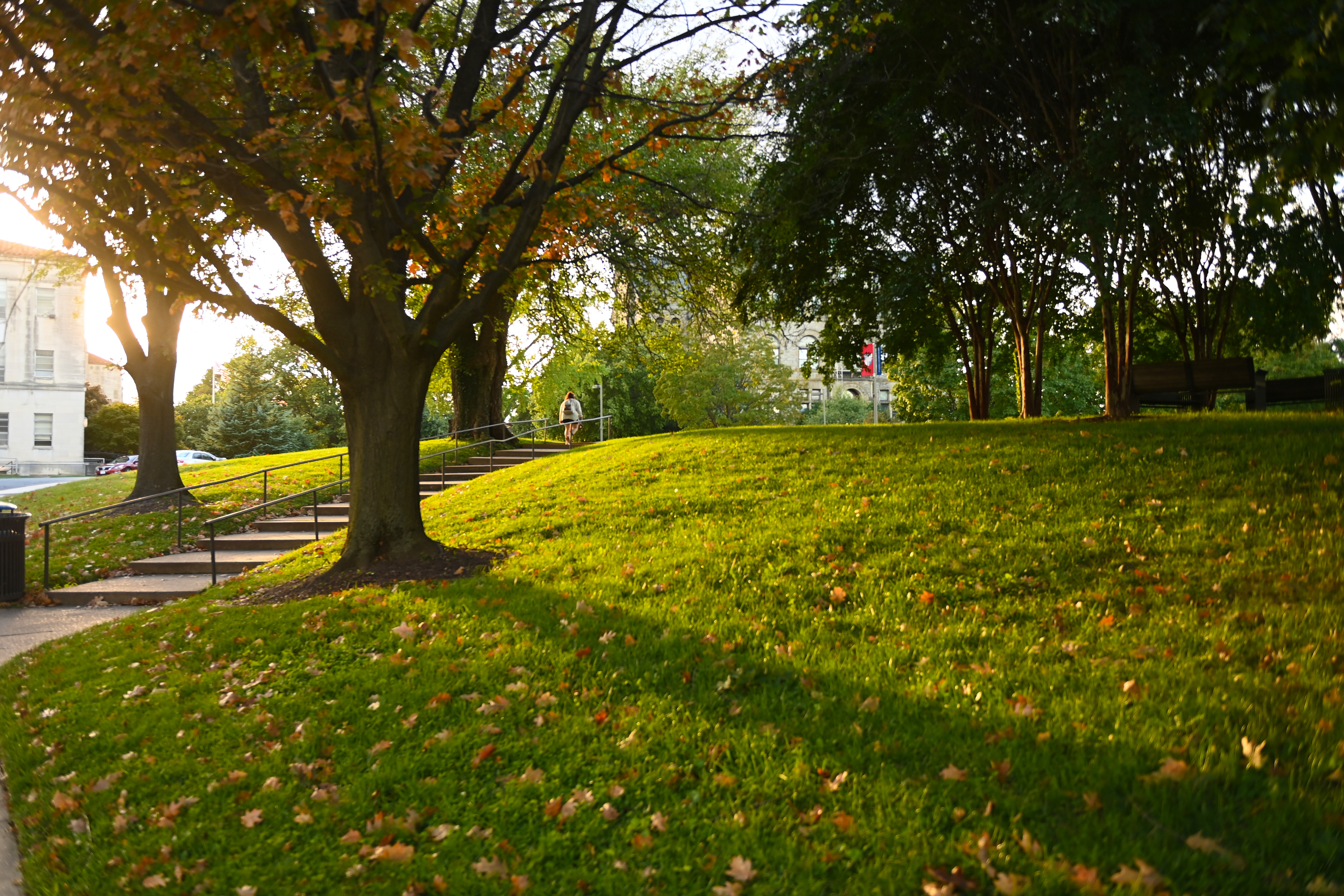 A campus landscape